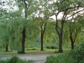 DSC08257.JPG